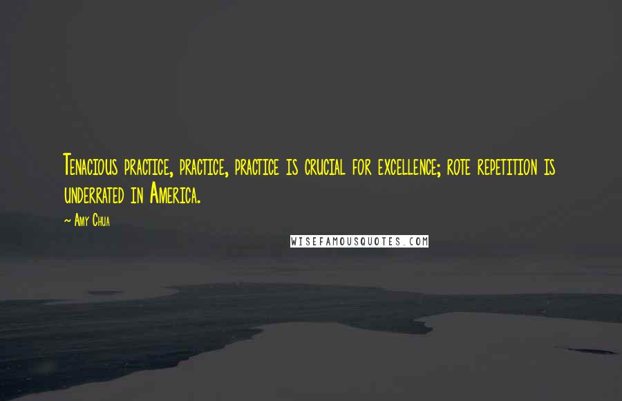 Amy Chua Quotes: Tenacious practice, practice, practice is crucial for excellence; rote repetition is underrated in America.
