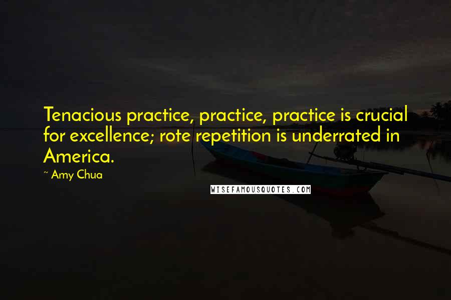 Amy Chua Quotes: Tenacious practice, practice, practice is crucial for excellence; rote repetition is underrated in America.