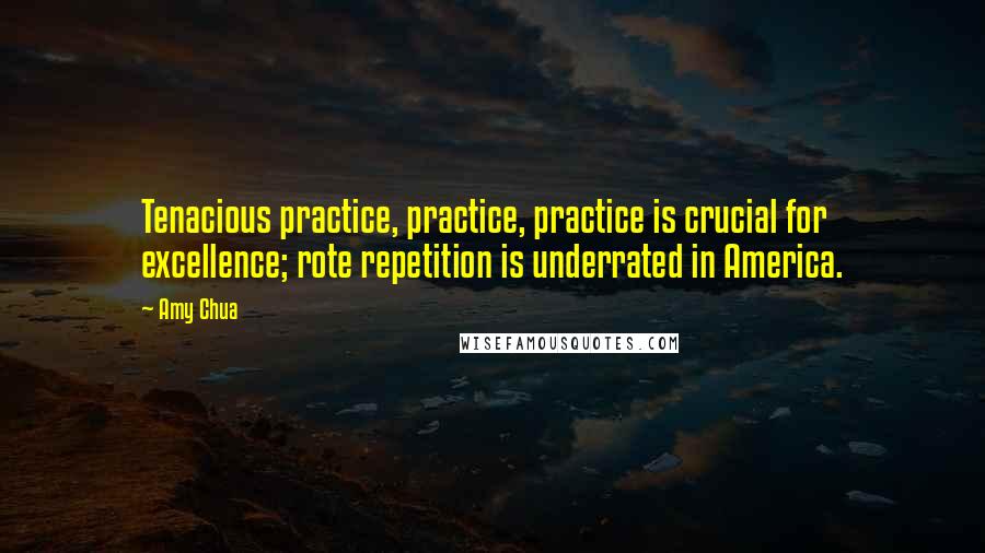 Amy Chua Quotes: Tenacious practice, practice, practice is crucial for excellence; rote repetition is underrated in America.