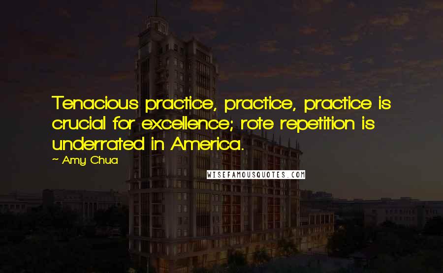 Amy Chua Quotes: Tenacious practice, practice, practice is crucial for excellence; rote repetition is underrated in America.