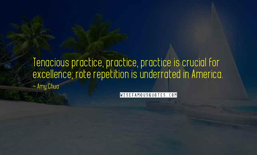 Amy Chua Quotes: Tenacious practice, practice, practice is crucial for excellence; rote repetition is underrated in America.