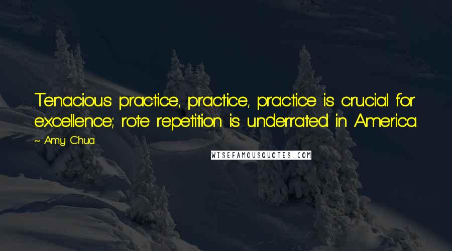 Amy Chua Quotes: Tenacious practice, practice, practice is crucial for excellence; rote repetition is underrated in America.