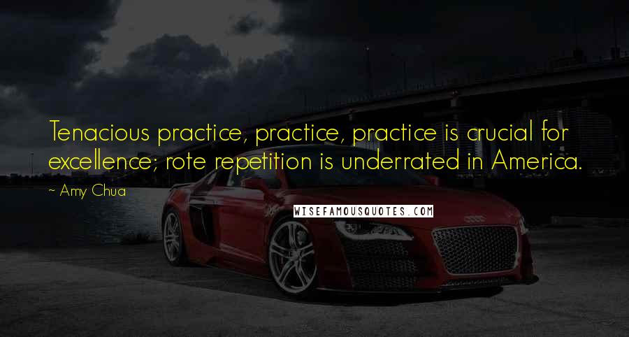 Amy Chua Quotes: Tenacious practice, practice, practice is crucial for excellence; rote repetition is underrated in America.