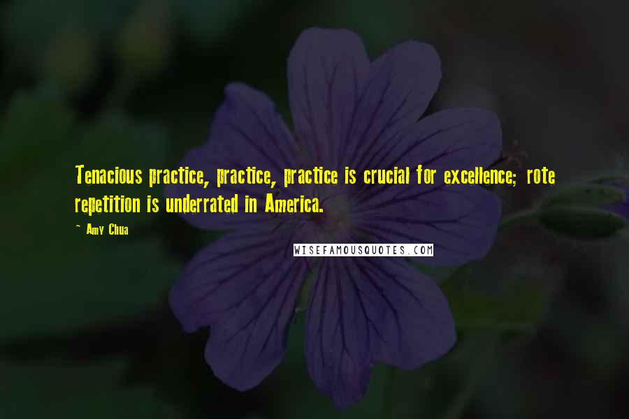 Amy Chua Quotes: Tenacious practice, practice, practice is crucial for excellence; rote repetition is underrated in America.