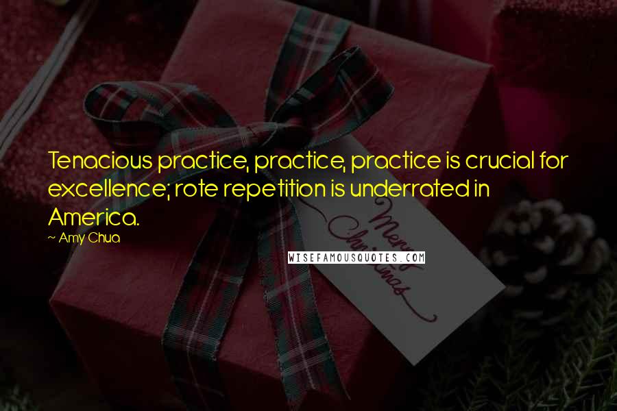 Amy Chua Quotes: Tenacious practice, practice, practice is crucial for excellence; rote repetition is underrated in America.