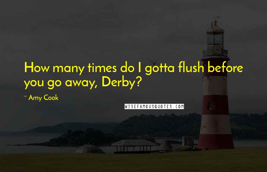 Amy Cook Quotes: How many times do I gotta flush before you go away, Derby?