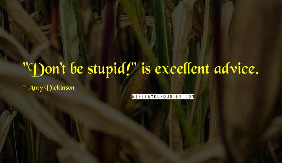 Amy Dickinson Quotes: "Don't be stupid!" is excellent advice.