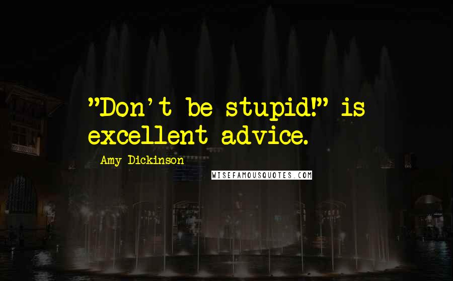 Amy Dickinson Quotes: "Don't be stupid!" is excellent advice.