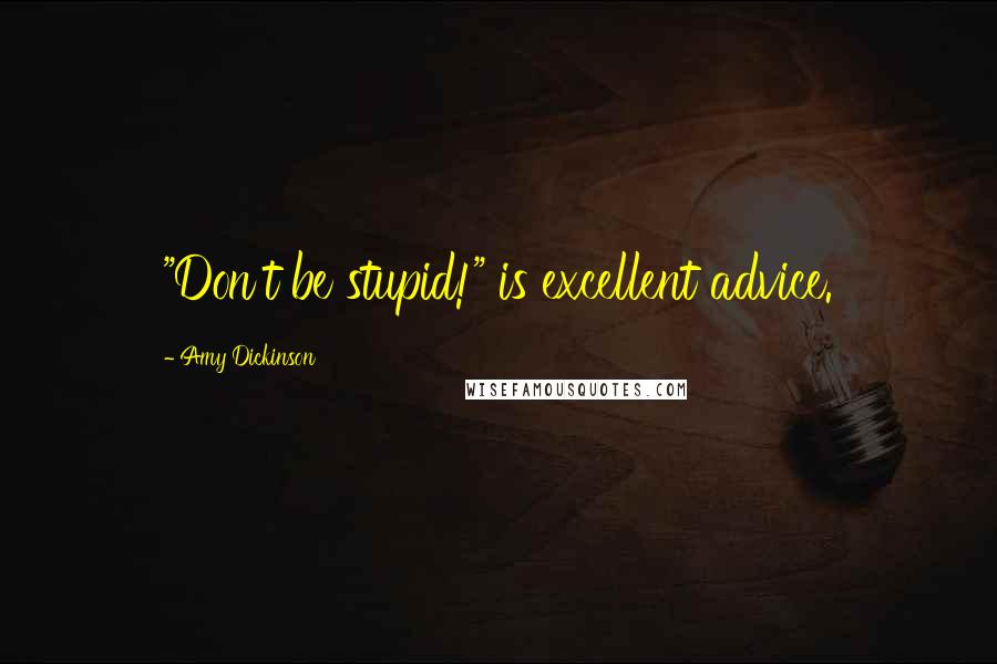 Amy Dickinson Quotes: "Don't be stupid!" is excellent advice.