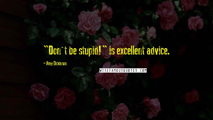 Amy Dickinson Quotes: "Don't be stupid!" is excellent advice.