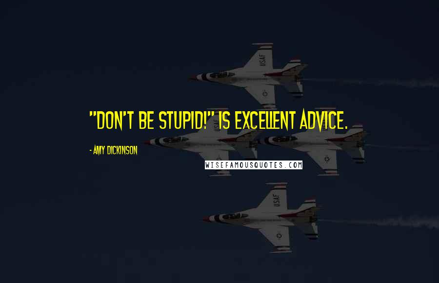 Amy Dickinson Quotes: "Don't be stupid!" is excellent advice.