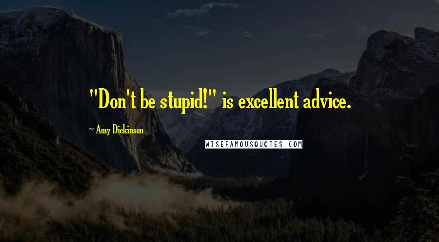 Amy Dickinson Quotes: "Don't be stupid!" is excellent advice.