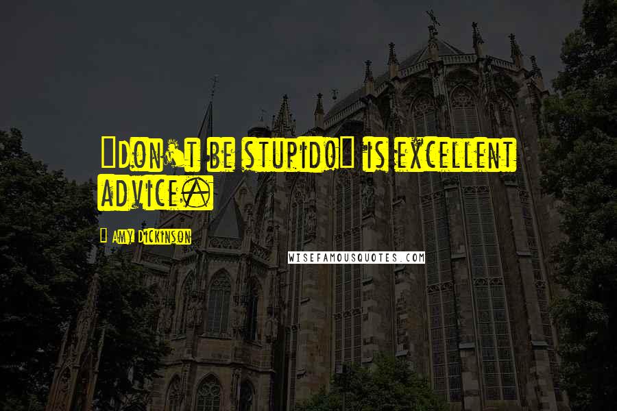 Amy Dickinson Quotes: "Don't be stupid!" is excellent advice.