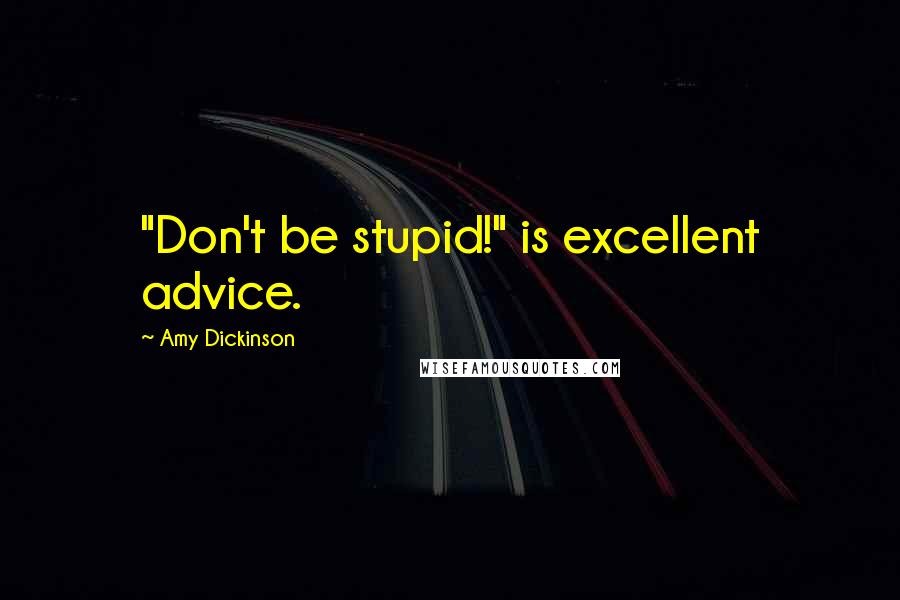 Amy Dickinson Quotes: "Don't be stupid!" is excellent advice.