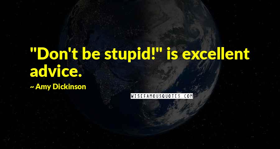 Amy Dickinson Quotes: "Don't be stupid!" is excellent advice.