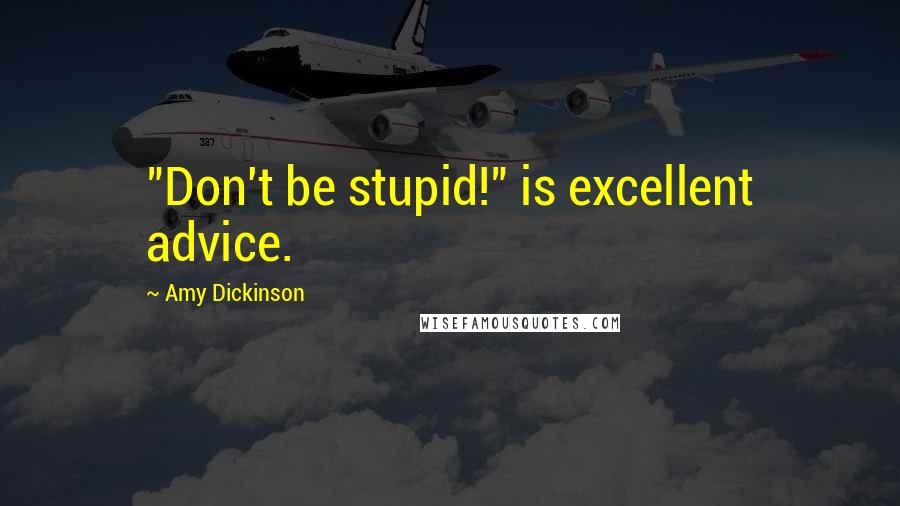 Amy Dickinson Quotes: "Don't be stupid!" is excellent advice.