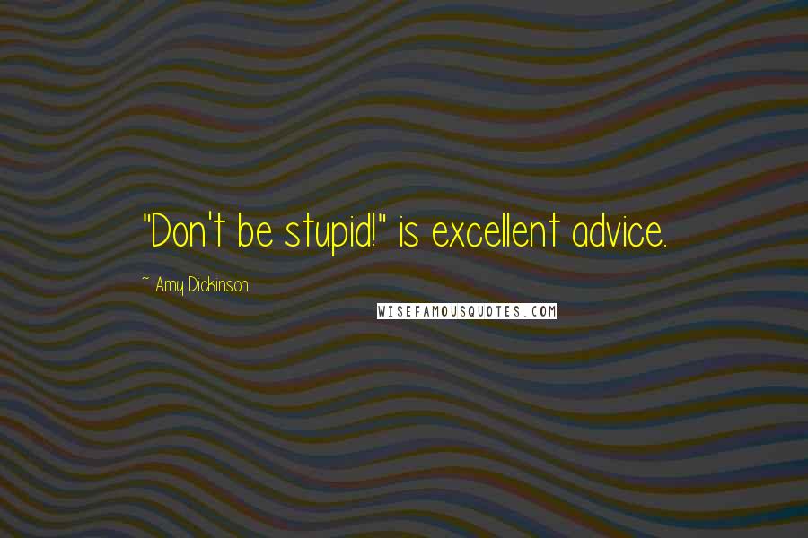 Amy Dickinson Quotes: "Don't be stupid!" is excellent advice.