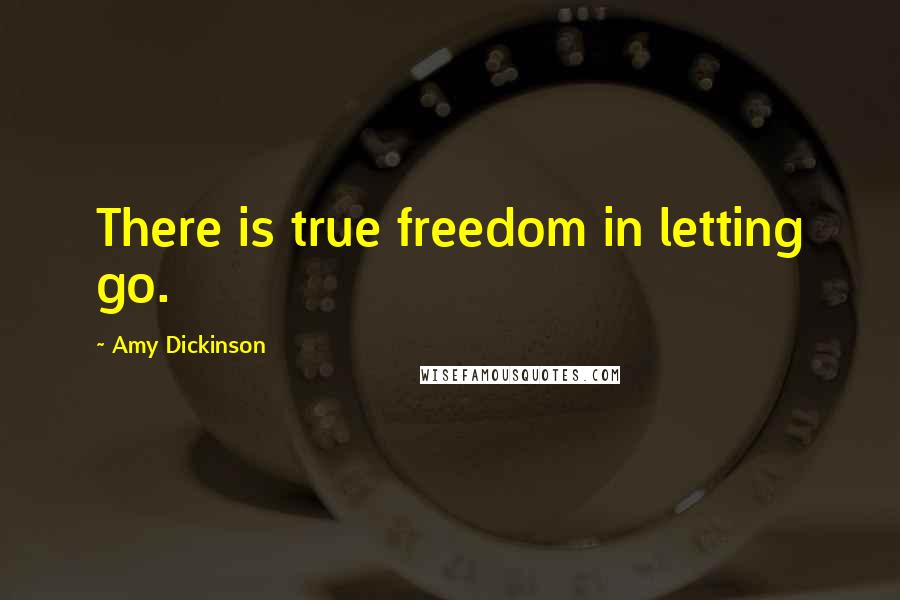 Amy Dickinson Quotes: There is true freedom in letting go.