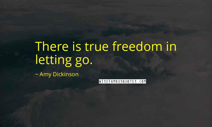 Amy Dickinson Quotes: There is true freedom in letting go.