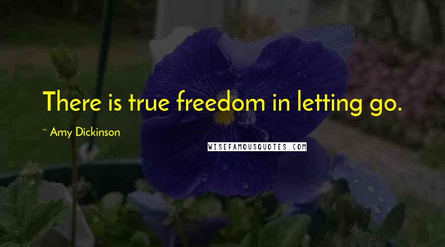 Amy Dickinson Quotes: There is true freedom in letting go.