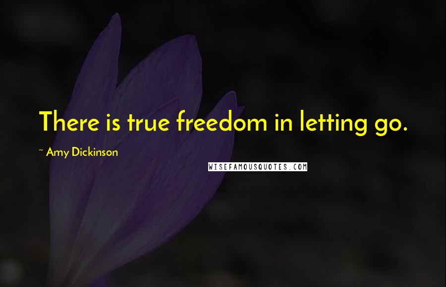 Amy Dickinson Quotes: There is true freedom in letting go.