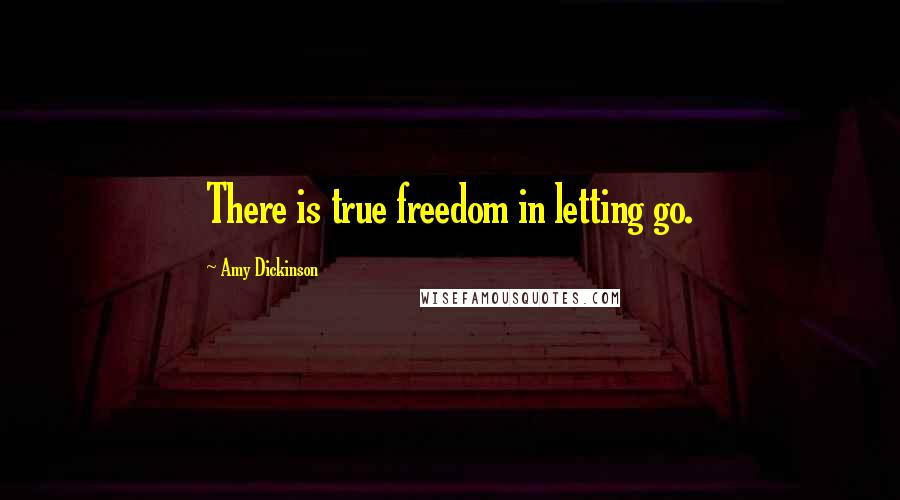 Amy Dickinson Quotes: There is true freedom in letting go.