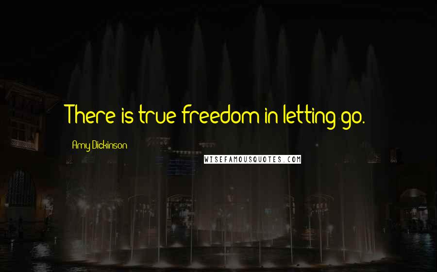 Amy Dickinson Quotes: There is true freedom in letting go.