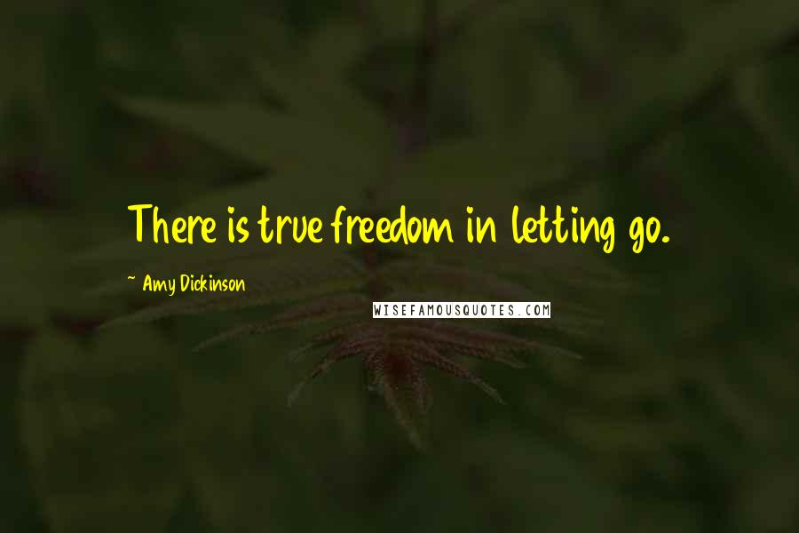 Amy Dickinson Quotes: There is true freedom in letting go.