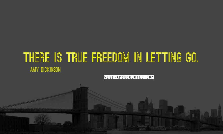 Amy Dickinson Quotes: There is true freedom in letting go.