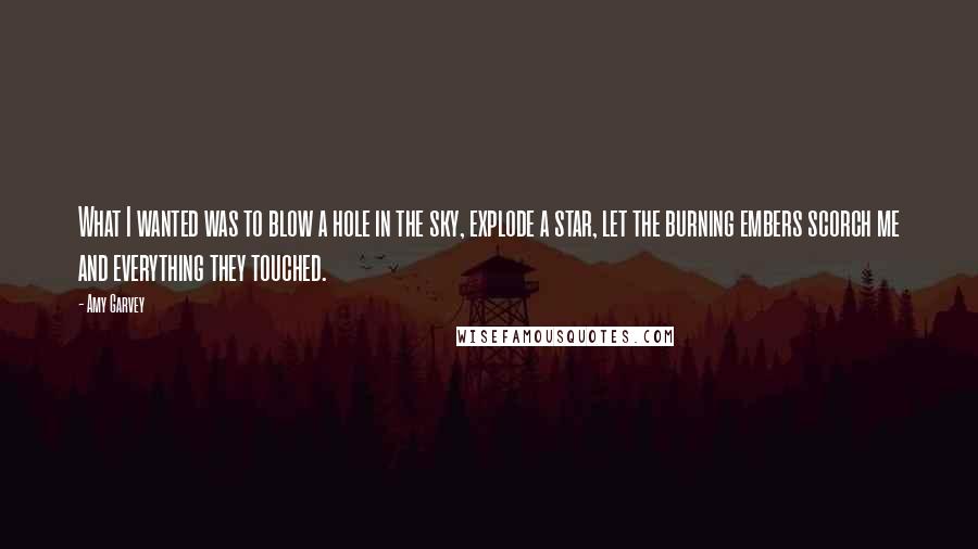 Amy Garvey Quotes: What I wanted was to blow a hole in the sky, explode a star, let the burning embers scorch me and everything they touched.