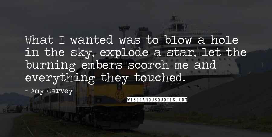 Amy Garvey Quotes: What I wanted was to blow a hole in the sky, explode a star, let the burning embers scorch me and everything they touched.