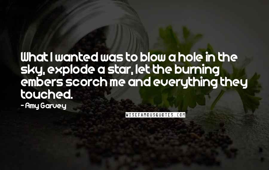 Amy Garvey Quotes: What I wanted was to blow a hole in the sky, explode a star, let the burning embers scorch me and everything they touched.