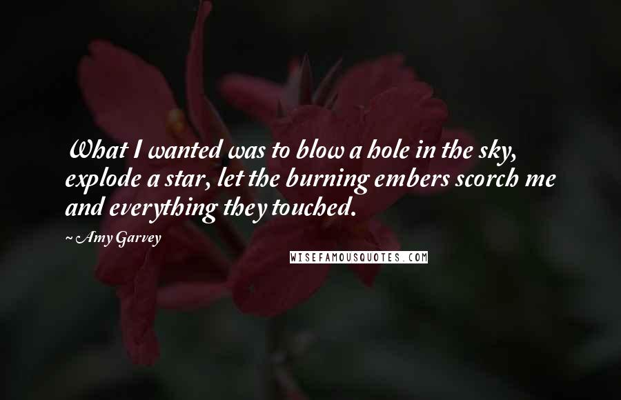 Amy Garvey Quotes: What I wanted was to blow a hole in the sky, explode a star, let the burning embers scorch me and everything they touched.