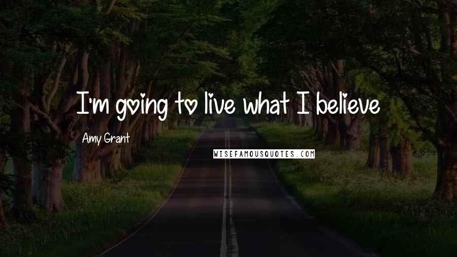 Amy Grant Quotes: I'm going to live what I believe