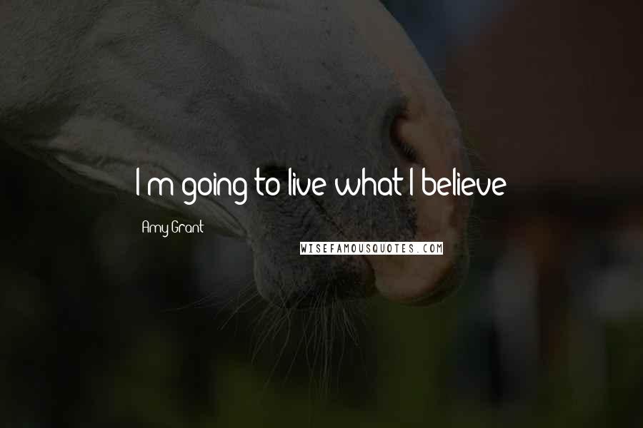 Amy Grant Quotes: I'm going to live what I believe