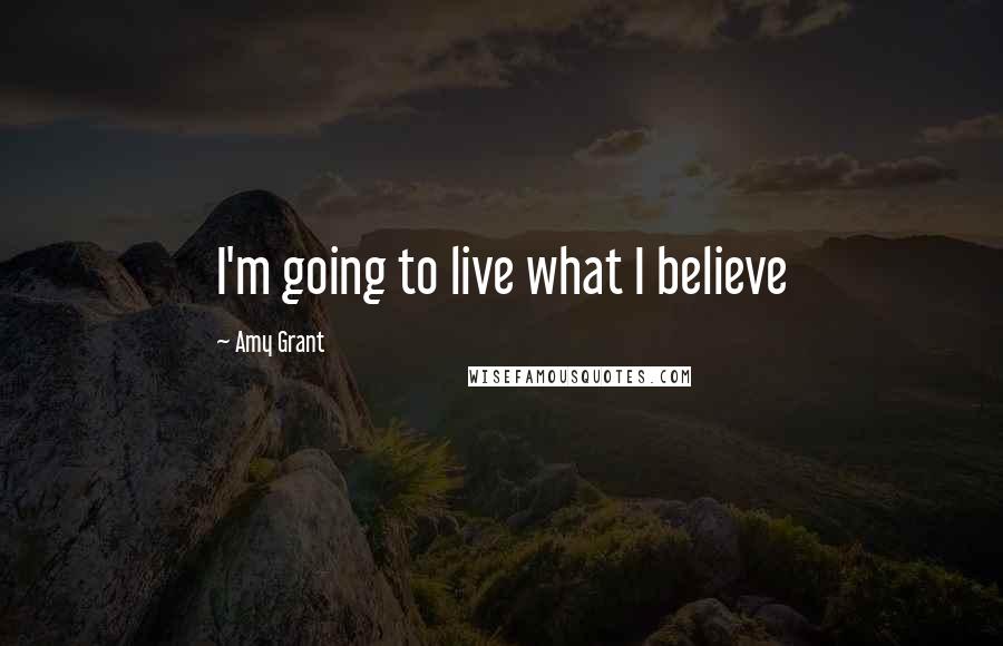 Amy Grant Quotes: I'm going to live what I believe