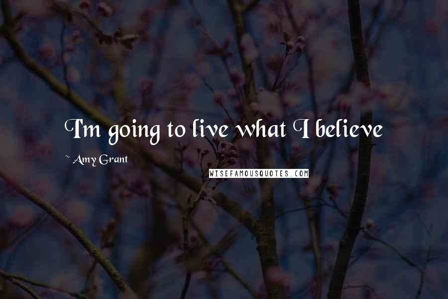 Amy Grant Quotes: I'm going to live what I believe