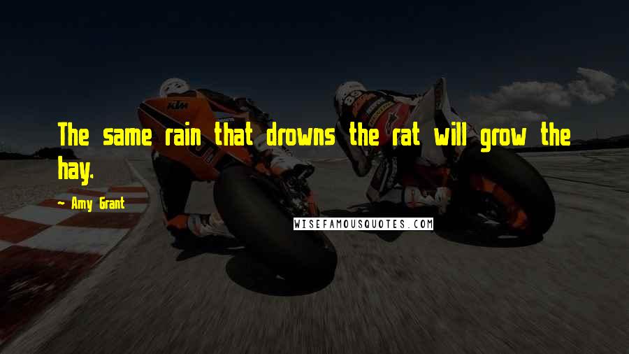 Amy Grant Quotes: The same rain that drowns the rat will grow the hay.