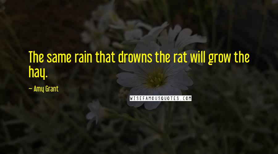 Amy Grant Quotes: The same rain that drowns the rat will grow the hay.