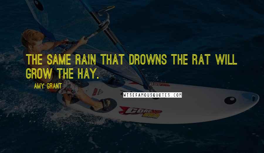 Amy Grant Quotes: The same rain that drowns the rat will grow the hay.