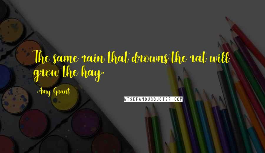 Amy Grant Quotes: The same rain that drowns the rat will grow the hay.