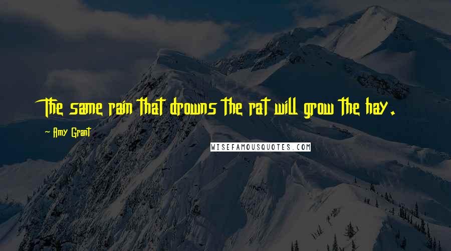 Amy Grant Quotes: The same rain that drowns the rat will grow the hay.