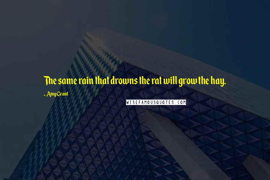 Amy Grant Quotes: The same rain that drowns the rat will grow the hay.