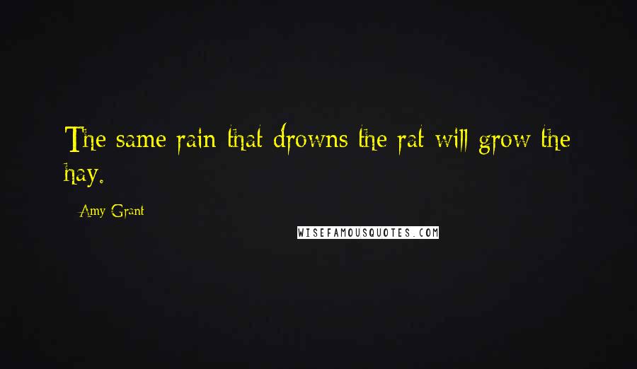 Amy Grant Quotes: The same rain that drowns the rat will grow the hay.
