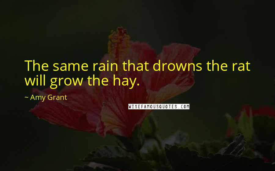 Amy Grant Quotes: The same rain that drowns the rat will grow the hay.