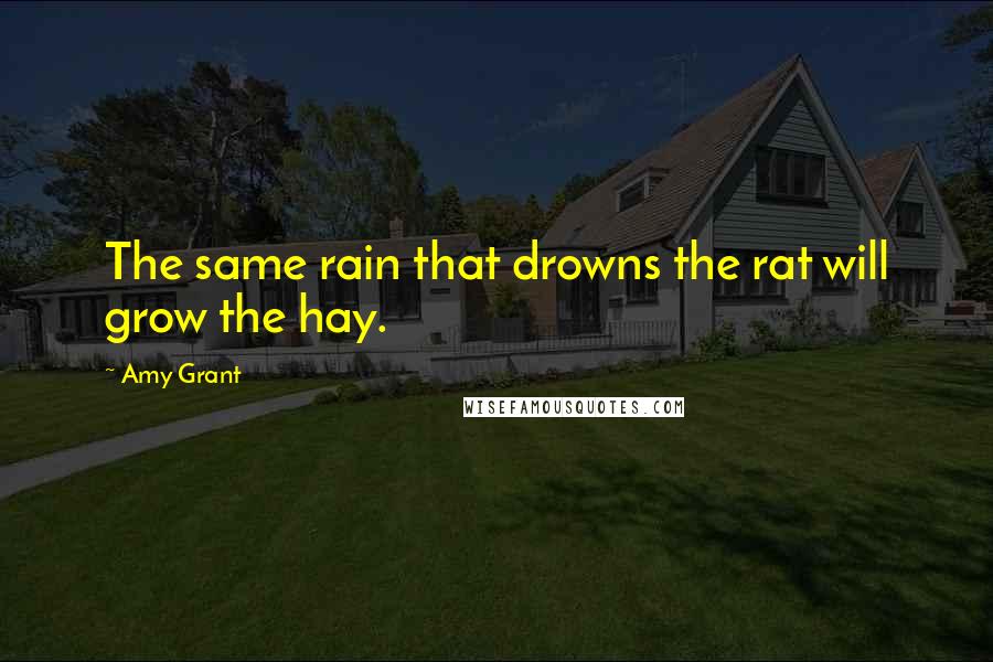 Amy Grant Quotes: The same rain that drowns the rat will grow the hay.