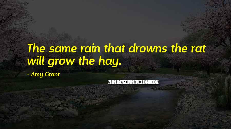 Amy Grant Quotes: The same rain that drowns the rat will grow the hay.