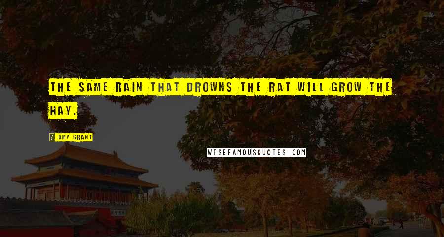Amy Grant Quotes: The same rain that drowns the rat will grow the hay.