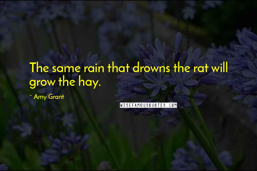 Amy Grant Quotes: The same rain that drowns the rat will grow the hay.