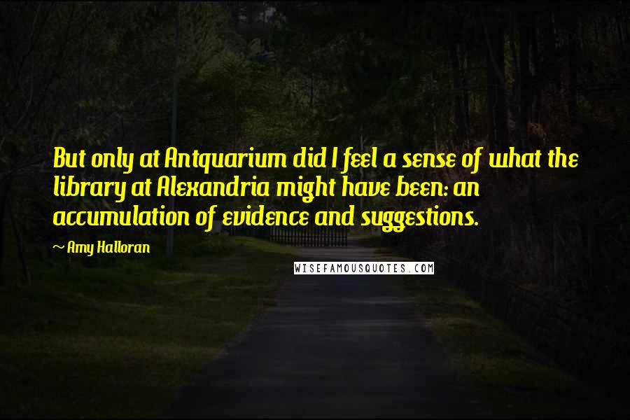 Amy Halloran Quotes: But only at Antquarium did I feel a sense of what the library at Alexandria might have been: an accumulation of evidence and suggestions.